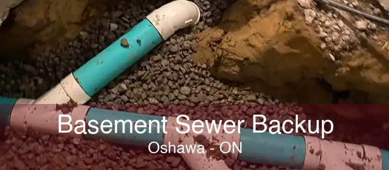 Basement Sewer Backup Oshawa - ON