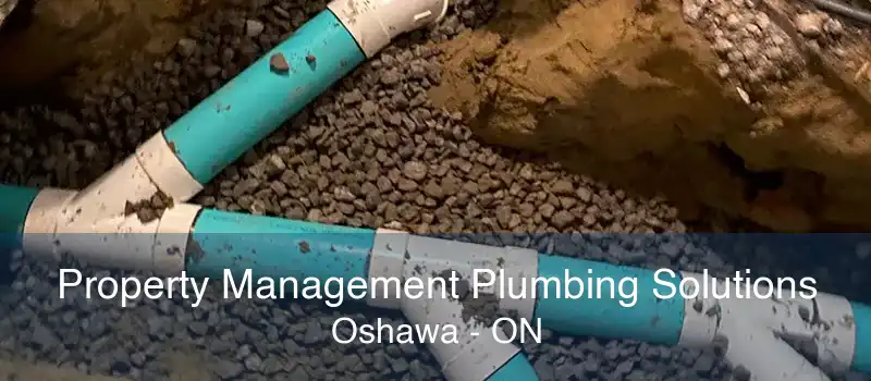 Property Management Plumbing Solutions Oshawa - ON